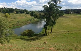 2 ha Land available in Mooi River