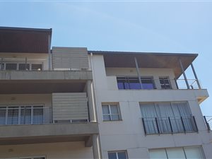 1 Bed Apartment in Montrose