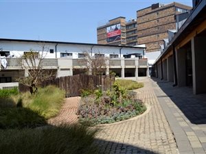 1 Bed Apartment in City & Suburban (Maboneng)