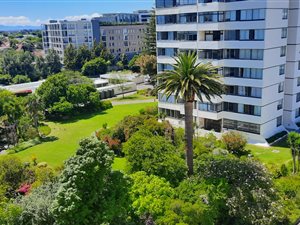 Studio apartment in Claremont Upper