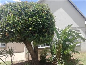 2 Bed Townhouse in Bassonia