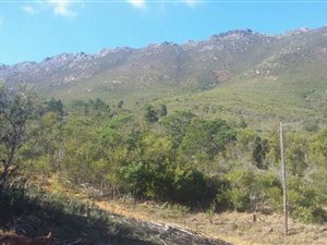 1 ha Farm in Firlands