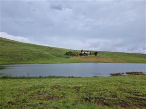 1602 ha Farm in Impendle