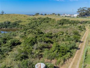 22 ha Farm in East London Central