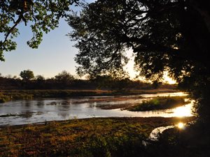 21 ha Farm in Hoedspruit