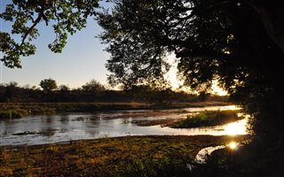 21 ha Farm in Hoedspruit