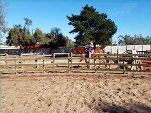 16 ha Farm in Stellenbosch Agricultural
