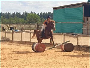 16 ha Farm in Stellenbosch Agricultural