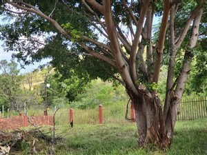 517 m² Land available in Amandasig