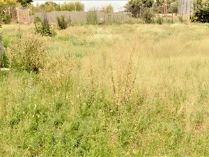 595 m² Land available in Trompsburg