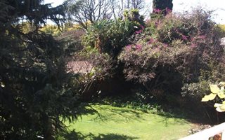 2 Bedroom Apartment in Waverley
