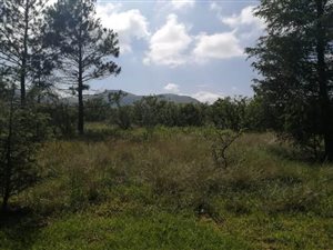 7325 m² Land available in Mooi River