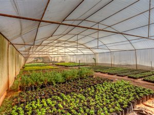 2 ha Farm in Krugersdorp Central