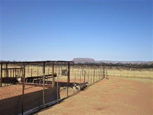 80 ha Farm in Modimolle