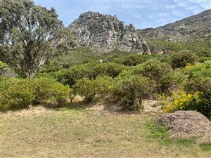 2170 m² Land available in Stonehurst Mountain Estate