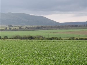 75 ha Farm in Lydenburg