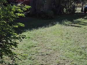 21 ha Farm in Louis Trichardt