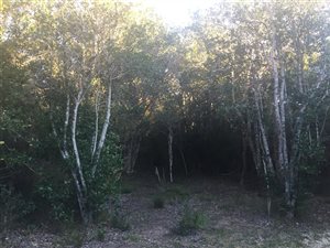 1200 m² Land available in The Crags