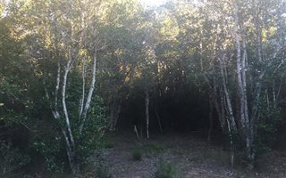 1200 m² Land available in The Crags