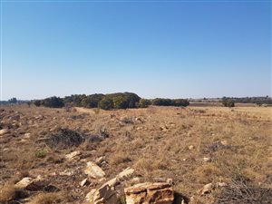 5.2 ha Farm in Donkerhoek