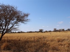 735 ha Farm in Mokopane