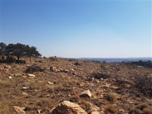 14 ha Farm in Boschkop