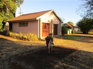 10 ha Farm in Daleside