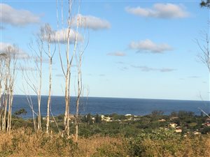 1121 m² Land available in Saiccor