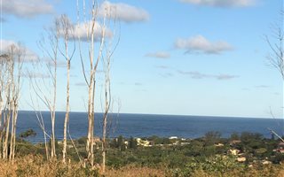 1121 m² Land available in Saiccor