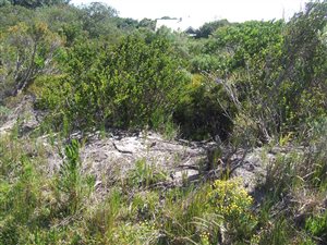 2340 m² Land available in Bettys Bay