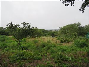 4049 m² Land available in Bathurst and Surrounds