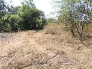 562 m² Land available in Bronberg