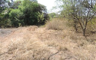 562 m² Land available in Bronberg