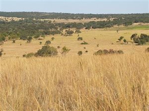 21 ha Farm in Cullinan