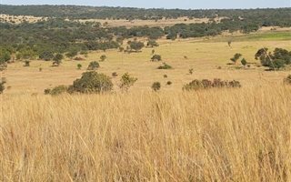 21 ha Farm in Cullinan