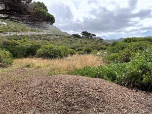 2140 m² Land available in Stonehurst Mountain Estate