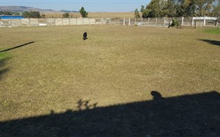 2023 m² Land available in Dannhauser