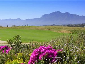 1099 m² Land available in Oubaai and surrounds