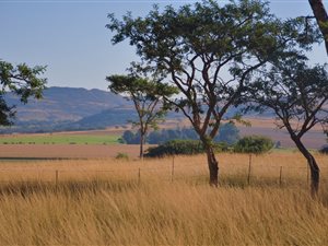 2786 m² Land available in Bergville