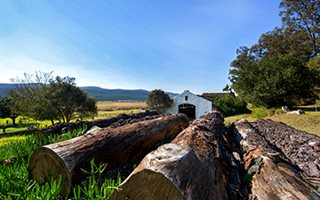 124 ha Land available in Sedgefield