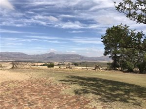 204.7 ha Farm in Tulbagh
