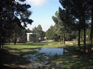 5.8 ha Smallholding in Grabouw