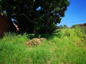 568 m² Land available in Newlands West