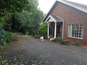 4 Bed House in Montrose
