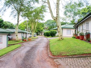 1 Bed Apartment in White River