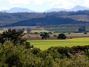 1026 m² Land available in Fraaiuitsig