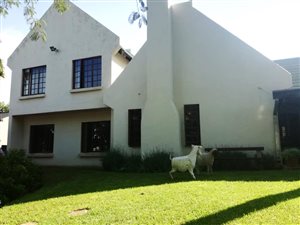 Bachelor apartment in Newlands