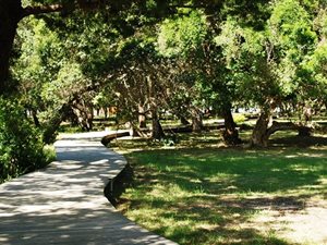 648 m² Land available in Lake Brenton