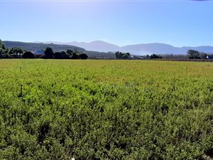 3 ha Farm in Bonnievale