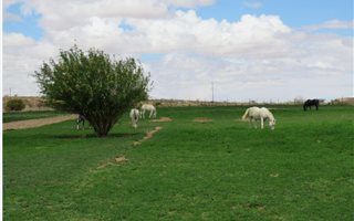 2 ha Farm in Upington